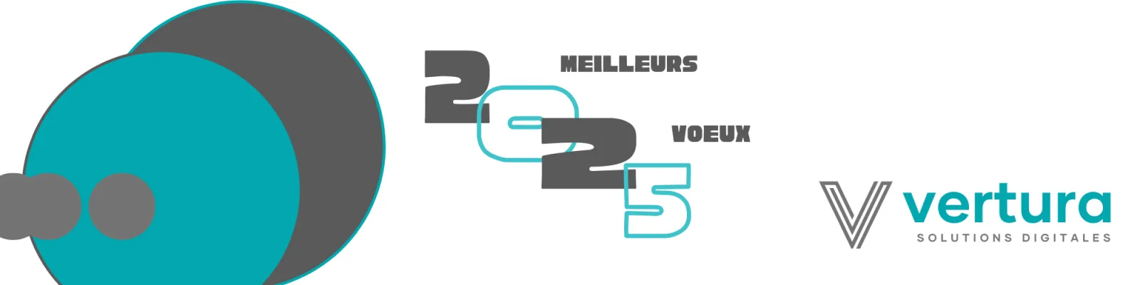 Vœux 2025